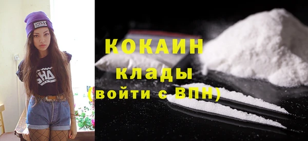 шишки Абинск