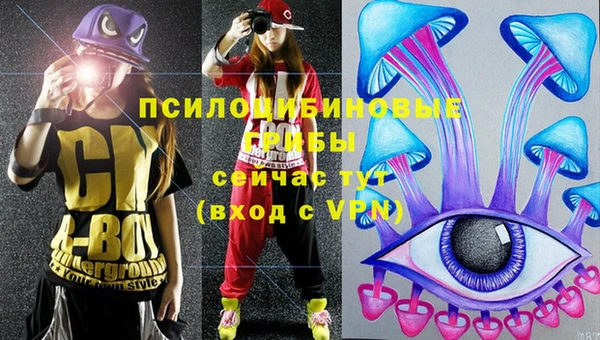 apvp Абаза