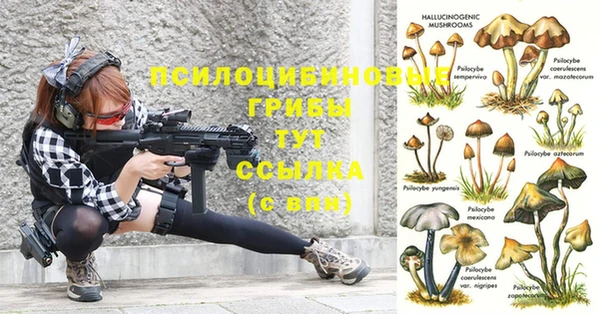 не бодяженный Алексин