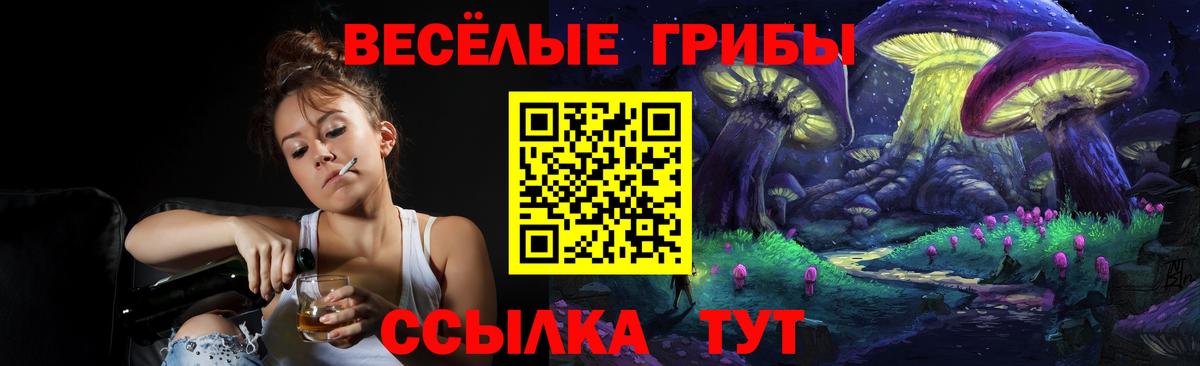 купить наркотики сайты  Псилоцибиновые грибы Psilocybine cubensis  Вход с VPN  Сызрань 